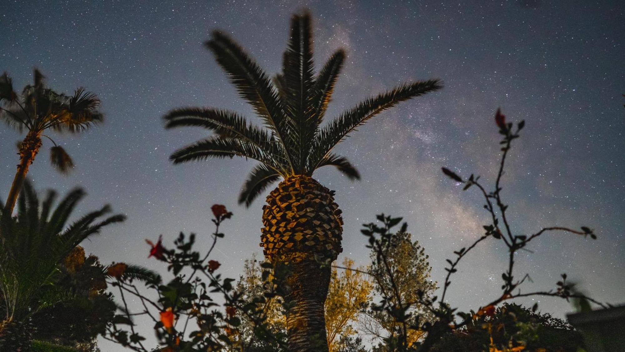 Baia Del Sole Resort Capo Vaticano Zewnętrze zdjęcie